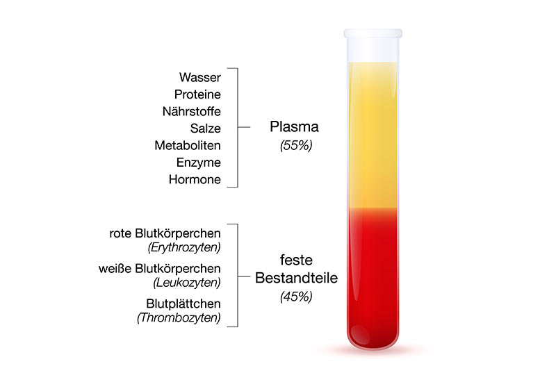 Eigenbluttherapie beim Zahnarzt zum Fördern der Wundheilung